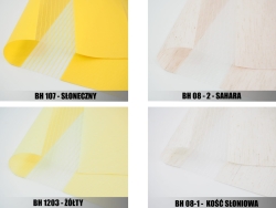 SŁONECZNY SAHARA.jpg